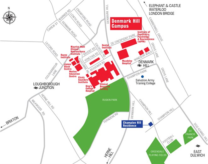 Denmark Hill location map