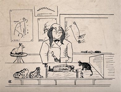 Creative Commons - Wellcome Trust