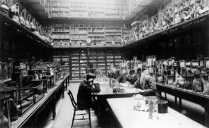 1905GordonMuseum