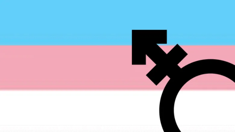 Transgender Flag