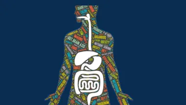 gut and metabolic health navy 1903x558