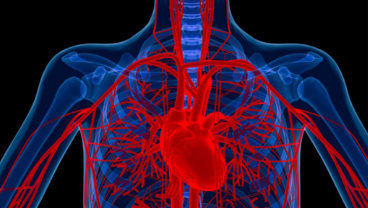 Heart attacks diagnosed quicker by new blood test