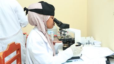 Training Somaliland's Future Health Workforce: Improving the Undergraduate Learning Experience (PDF)