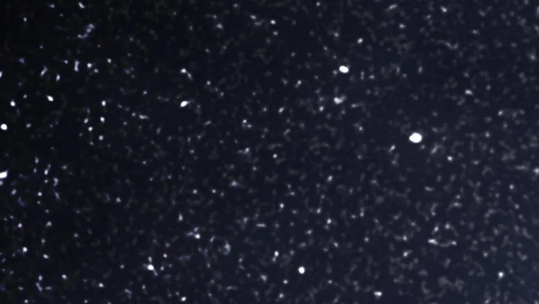 Telescope pointing at night sky