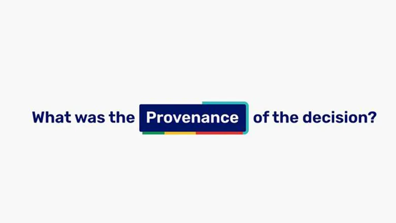 Text reading 'what was the provenance of the decision?'