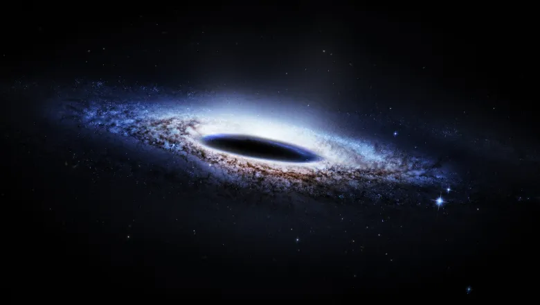 Black hole quantum
