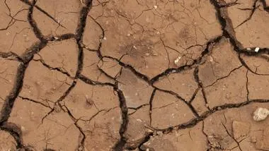 desert drought