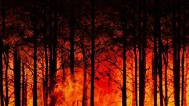 forest-fire-3836834_1280