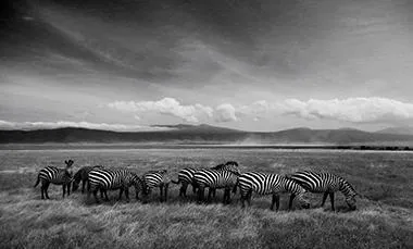 Ngorongoro Crater: Copyright Lou Marie Laurence Cabeza