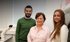 Professor Di Silvio recognised for supervisory excellence
