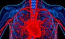 £800,000 funding for cardiovascular research