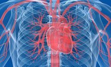 London researchers to find new tests to predict heart disease