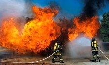 Robots on reins could be the 'eyes' of firefighters