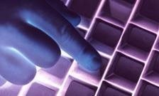 Social media users adapt personas specifically for platforms