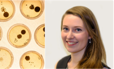 PhD student Vicky Butt interviewed by The Science and Engineering South Consortium