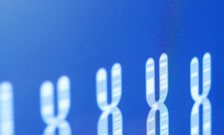 Child behaviour problems show biggest gap between DNA-based and twin heritability