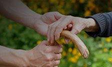 People with Down Syndrome develop symptoms of Alzheimer's Disease 20-30 years before others