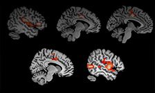 MDMA makes people cooperative, but not gullible