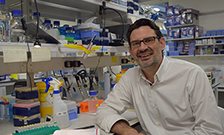 Professor Oscar Marín awarded ERC Advanced Grant