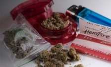 UK cannabis market dominated by high-potency 'skunk'