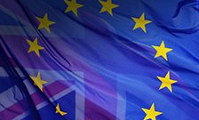 Dr Holger Hestermeyer examines key Brexit documents