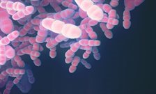 Researchers secure funding to investigate disease that kills millions