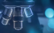 Informatics researchers awarded $75,000 PLuS Alliance Accelerator Award to study avian flu