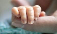 Explaining bursts of activity in preterm human brains