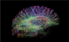 Can entrepreneurship be taught? King's announces world's first comprehensive study in to what happens in the brain when someone is thinking entrepreneurially.