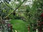 3 Lush march lawn