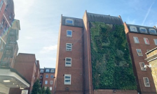 Air-filtering living wall installed at Guy's campus