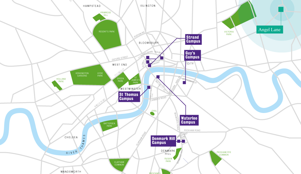 Angel Lane Study at King’s King’s College London