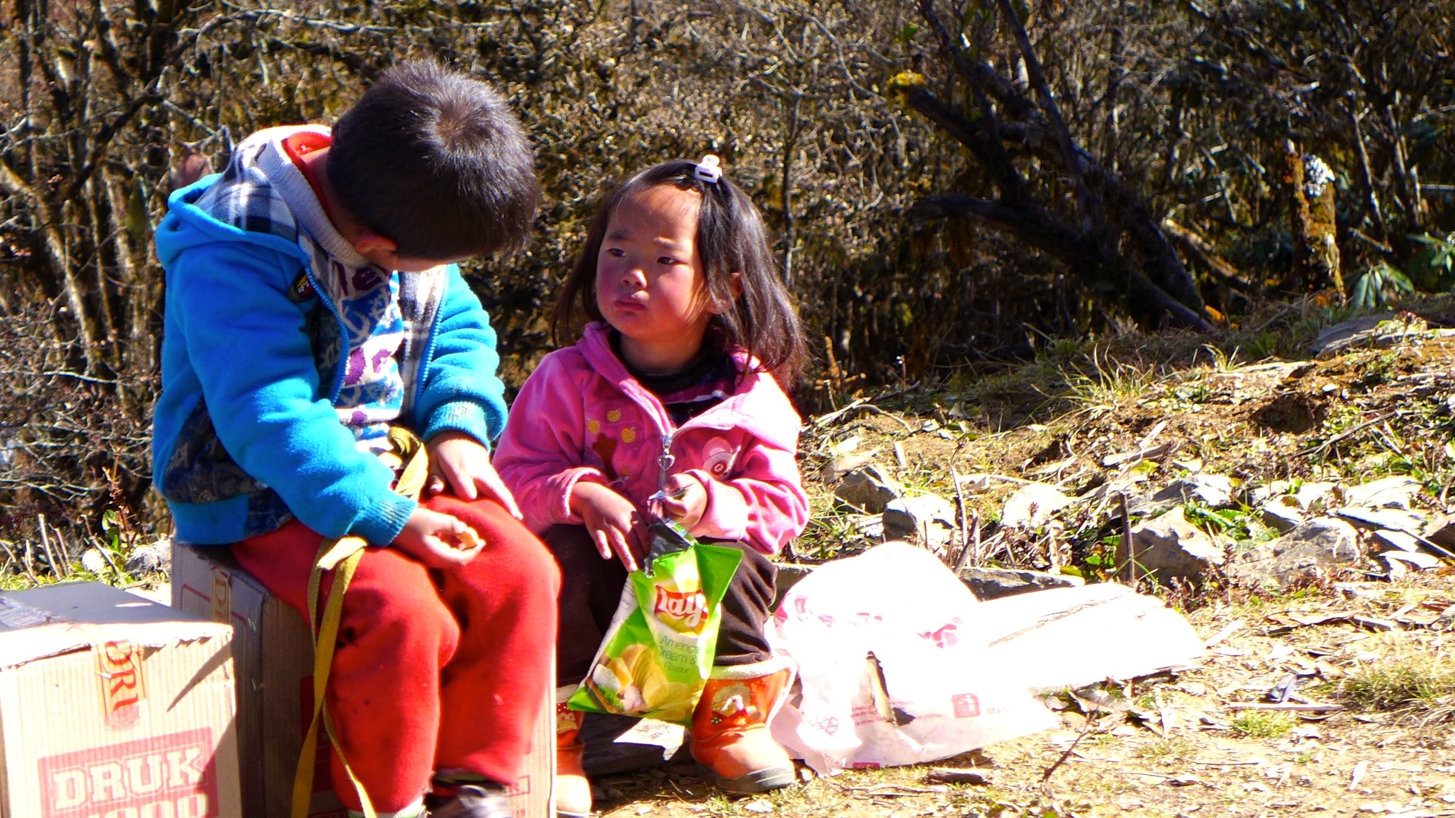 The shared family environment: determinants of food habits in early life, Kathryn Dalrymple 2020