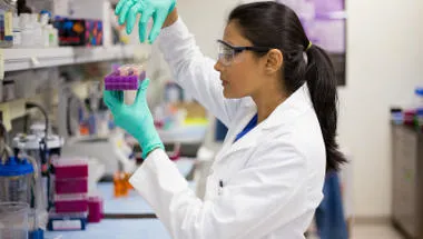 Researcher-lab-web