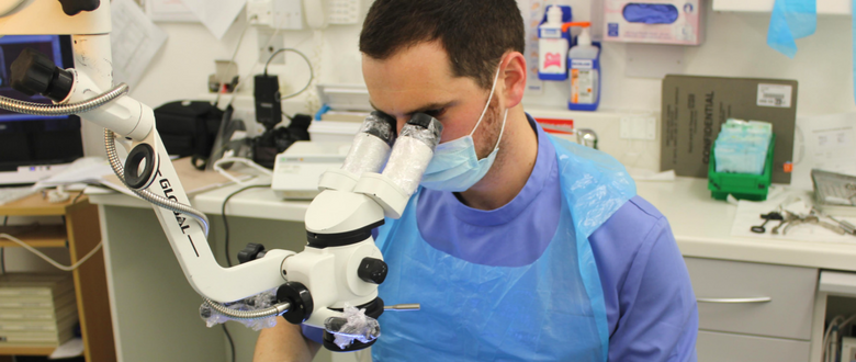 dental-training-endo