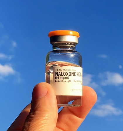 TeresaAlbor1