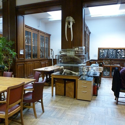 Museum-of-life-sciences-internal-400