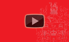 play videos