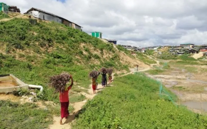 Three people dressed in red on a grassy hillside in Bangladesh collecting firewood