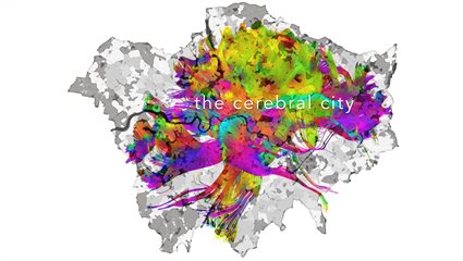 170803 The Cerebral City1