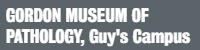 GORDON_MUSEUM