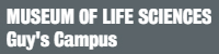 MUSEUM_LIFESCIENCES