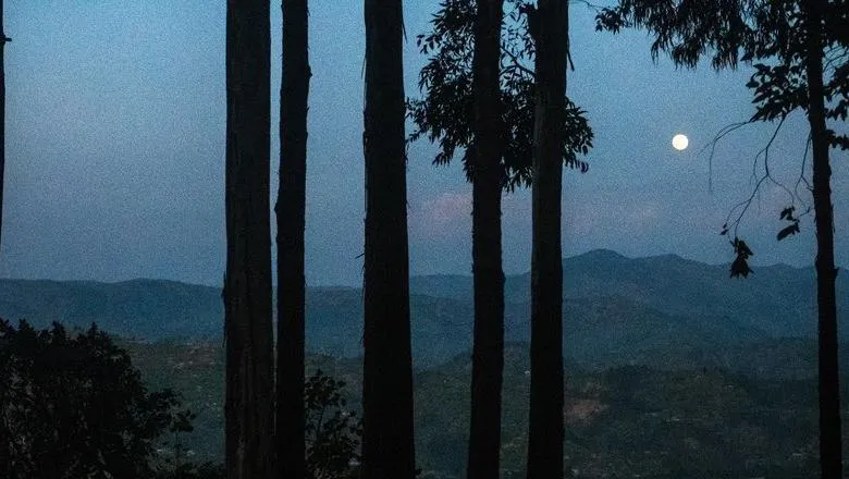 Rwandan hills at night time framed by a full moon 