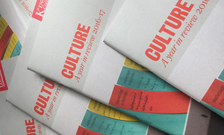 224x135px_culture_review2017