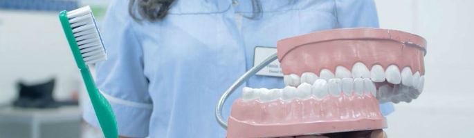 685x200px_smile
