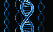 DNA