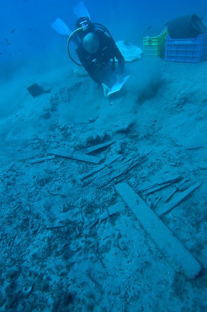 GACUK image 1