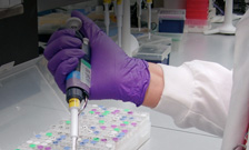 Rubber glove is laboratory