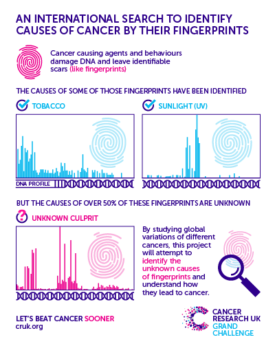 Infographic of international search to identify causes of cancer by their fingerprints