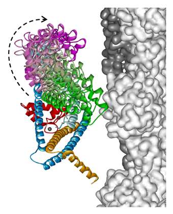 Figure 1_Sun2017_homepage(340x419)